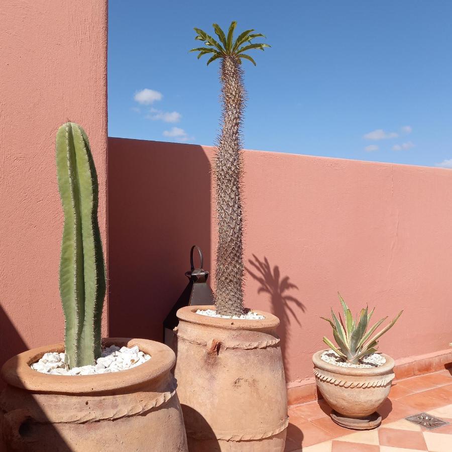 Riad Cherrata Marrakesh Ngoại thất bức ảnh